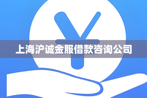 上海沪诚金服借款咨询公司
