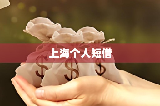 上海个人短借