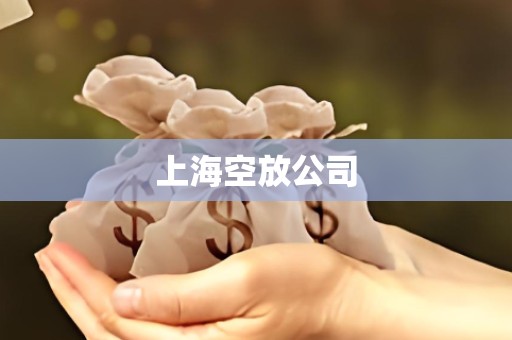 上海空放公司