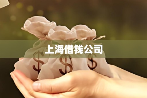 上海借钱公司
