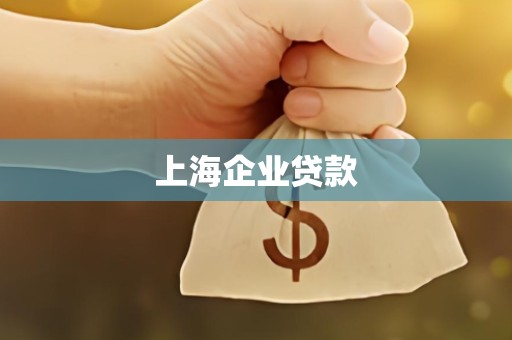 上海企业贷款